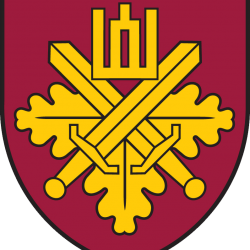 Insignia_of_the_National_Defence_Volunteer_Forces_(Lithuania)